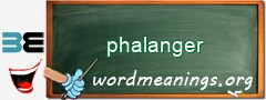 WordMeaning blackboard for phalanger